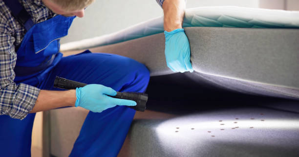  Greenville, VA Pest Control Pros